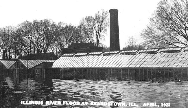 <B>High Water at the Nursery</B> at Beardstown in the 1922 Illinois River Flood