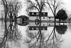 <B>Reflections in the Floodwater</B> as the Illinois River rises onto the yard of this farm near Beardstown, Illinois