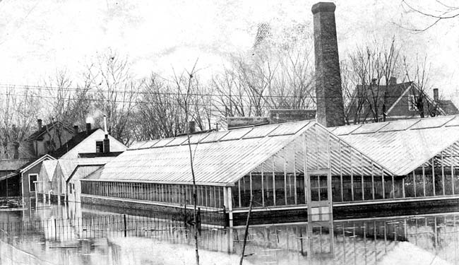 <B>High Water</B> around greenhouses in Beardstown in 1913