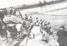 Soldiers Sandbagging the Levee