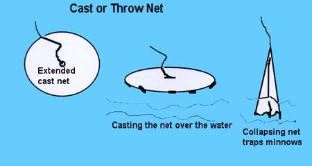 <b>Cast Net</b><br> A cast net was thrown horizontally over the water.  It was alowed to sink, then pulled out and, as it was pulled, it collapsed, trapping minnows.