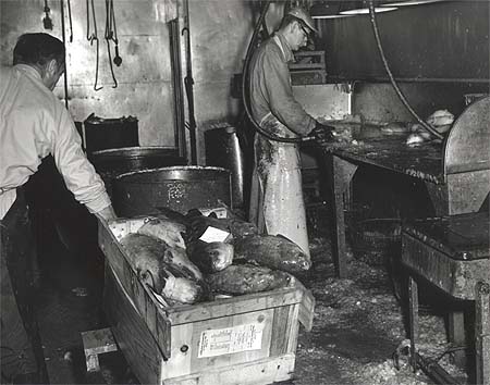 <b>Processing or Dressing Fish in a Fish Market</b>, April 3, 1963.