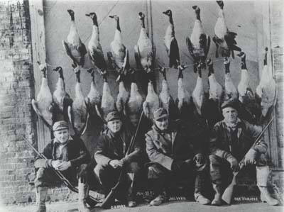 <b>Harvest of Geese</b>
