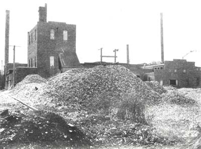 <b>Mounds of Mussel Shells</b> outside a button factory, 1919.