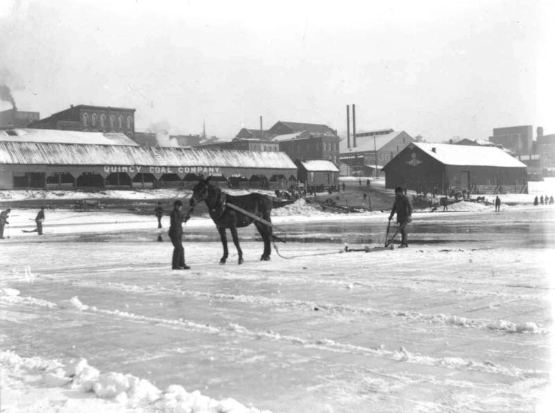 <B>Cutting Ice in Quincy Bay, 1900</B><BR>In the foreground the grid lines cut by the horse-drawn plow are clearly visible.