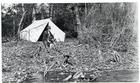 Duck Hunting Camp on Shelly Lake