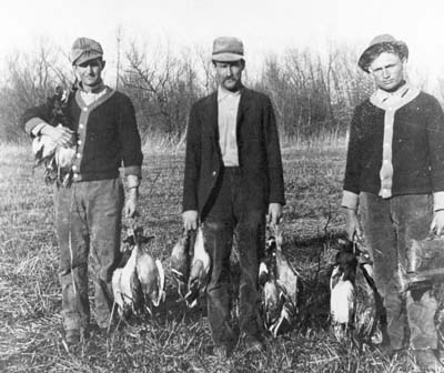 <b>Three Men Bag their Limit</b> of ducks, circa 1903-1920.