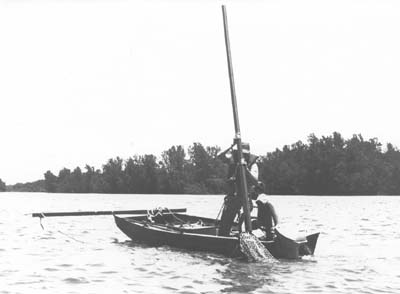 <b>Clam Dredge</b>, 1966.<br>Used for scooping mussels from the bottom of the river.