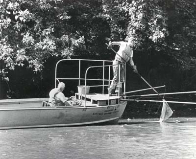 <b>Illinois Natural History Survey doing a Fish Count</b>.<br>Fish are stunned by a small, electrical current generated between the two long poles extending from the front of the boat.  They are quickly scooped into the boat, where fish species, weight and length are recorded, then quickly returned to the water.  The fish are not killed by this proceedure, but recover quickly and swim away.  Fish counts are useful in determining the 