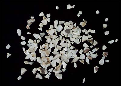 <b>Bits of Mussel Shell</b>. <br>Scraps and left-over shells were ground for chicken grit, mixed with plaster for Stucco and used to surface roads.