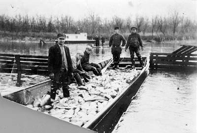 <b>Fish Catch, Meredosia Lake, 1925</b>.<br>Meredosia River Museum Collection.