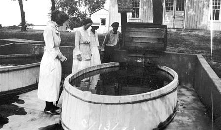 <b>Old Hatching Tank</b>, Meredosia Fish Hatchery.  ca. 1920s.<br>Meredosia River Museum Collection.