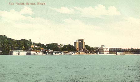 <b>Fish Markets in Havana</b>.  A postcard illustration from the Fulton County side of the Illinois River.