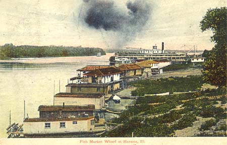<b>Fish Market Wharf</b>.  Postcard illustration of fish markets in Havana, Illinois.