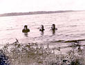 Boys Swimming at Matanza Lake