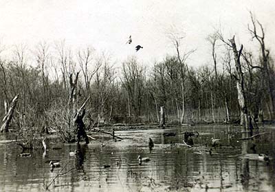 <b>Duck Hunt Near Bath, Illinois</b>.