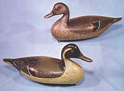 A Pair of Pintail Decoys