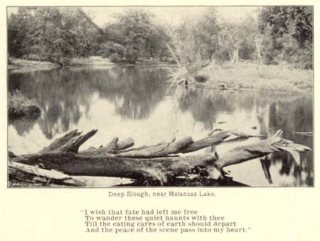 <b>A Peaceful Scene</b> at Deep Slough, near Matanzas Lake. Taken from the 1896 Havana Chautauqua Assembly program.
