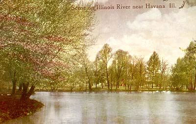 <b>Illinois River near Havana, Illinois</b> Postcard