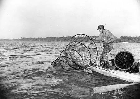 <b>Hauling in Hoop Net</b>.  There is also a basket trap in the boat.