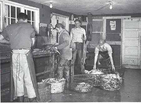 <b>Dressing Fish</b>.<br>Processing fish in a commercial fish market.  Note the paddlefish being held by the smiling gentleman at the back.