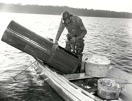 <b>Fish Basket</b>.<br>Fisherman is holding a catfish, the primary fish caught in fish basket traps, which are baited with old cheese (in the tub at the right) or female catfish (during spawning).