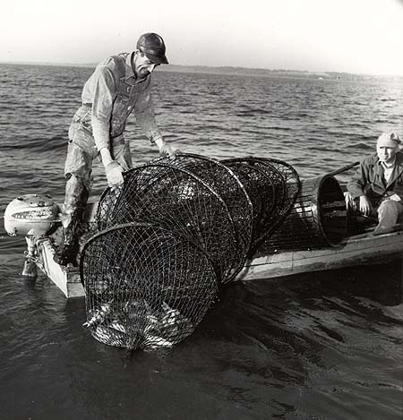 <b>Commercial Fishing</b>.<br>Fishermen have hauled in a large hoop net and a wooden basket trap.