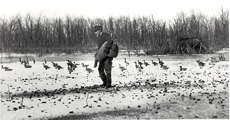 <b>Sowing Duck Millet and Buckwheat seed near Meredosia.</b> <br> Duck hunting clubs practiced conservation in planting duck food to attract migrating waterfowl.