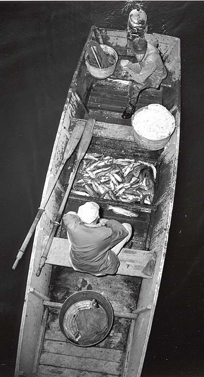 <b>Returning with Catch</b>. <br>The catfish in the bottom of the boat were caught in  fish basket traps, which would have been baited with cheese (in tub toward the stern) and reset after being emptied.