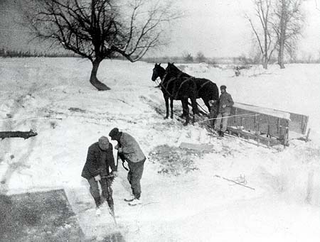 <b>Harvesting Ice</b>, 1920.<br> Using a one-man crosscut ice saw and a horse-drawn sledge.