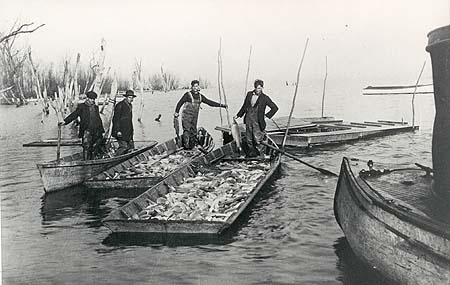 <b>Seine Haul on Peoria Lake, 1927</b>, <br>Fish are dipped from the seine net into flat-bottom boats, then put into a live box, which can be seen to the right, behind the fishermen.  Otto Darby Woodruff is second from the right