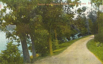 <b>Illinois River Scene</b>.  Postcard.