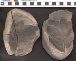 Small image of specimen