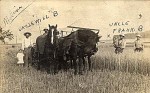 Cutting Hay on the William Buchholz Farm, Melvin, Ford County, Illinois