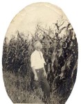 Oliver Lawrence Observing Tall Corn