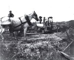 Workers in field probably baling hay or oats.
Sweet Family Farm, Franklin, Illinois