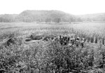 Archaeological Dig in Modern Corn Field