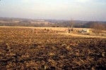 View of the New Philadelphia Site, Pike County, Illinois