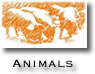 animals icon