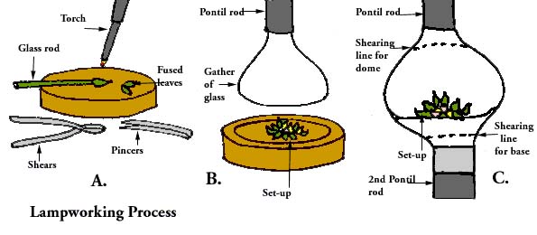 This graphic illustrates the proces of lampworking a floral set-up.<BR><B>Step A:</B> Glass rods are heated and shaped under a blow-lamp or torch<BR><B>Step B:</B> The set-up is pre-heated and set on a form. A gather of clear molten glass is lowered and picks up the set-up. <BR><B>Step C:</B> A second gather of molten clear glass is attached to the underside of the set-up to form the base. Each end is cut off in turn and smoothed on a block to form the dome and base of the weight.