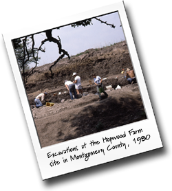 field photo of Hopwood Farm excavation