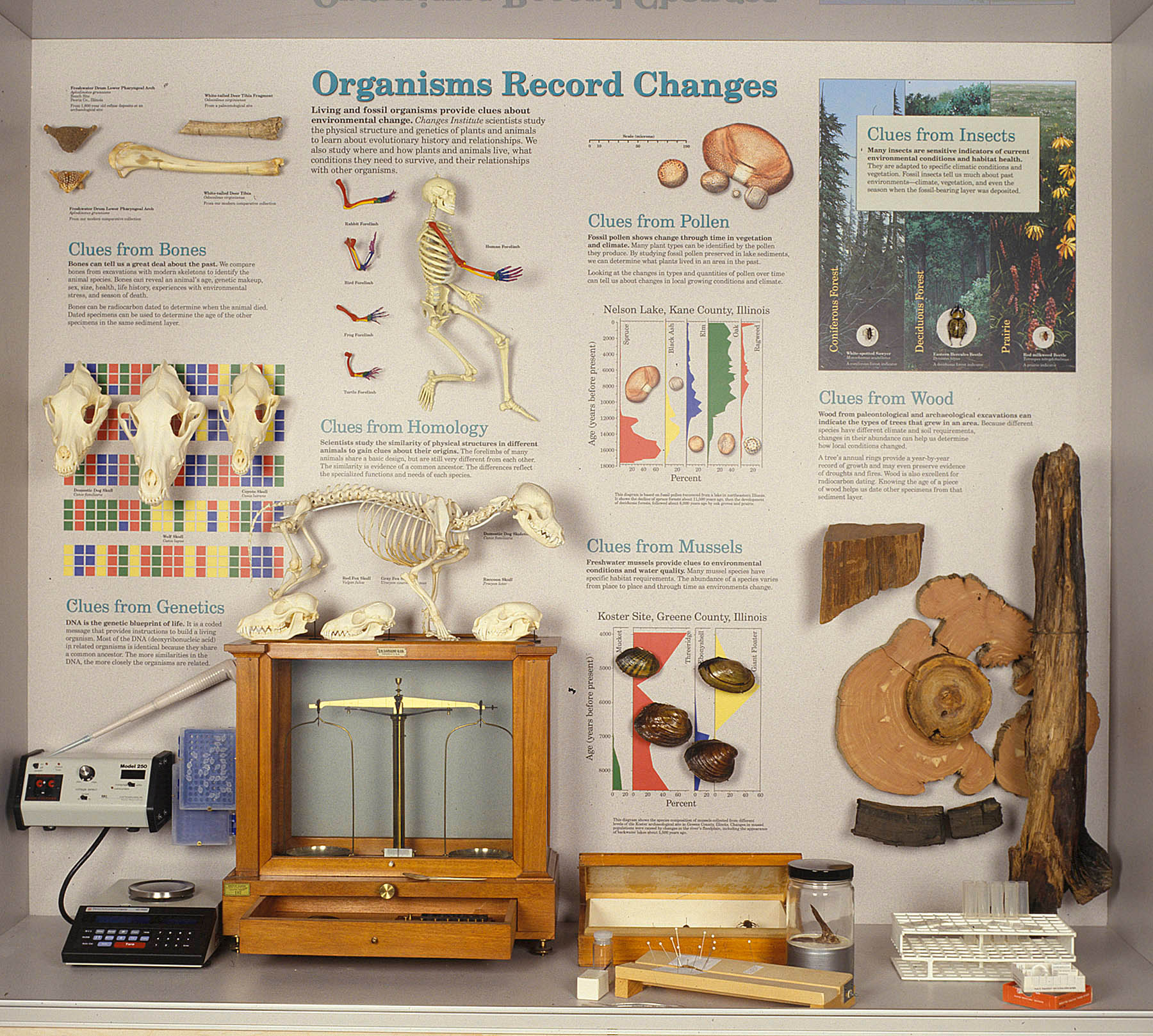 exhibit panel on the biological record