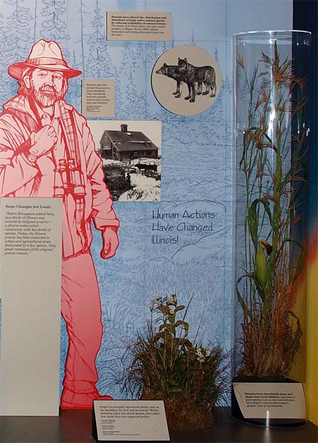 exhibit panel with examples of introduced species
