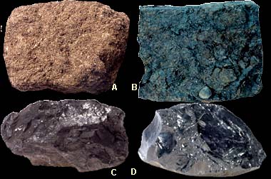 coal samples