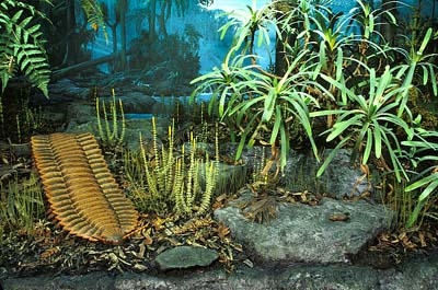 arthropleura