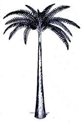 Restoration of a Psaronius