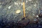Nodules in a Concretion Zone
