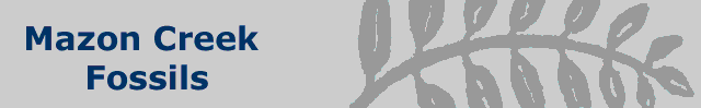 masthead graphic