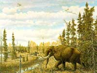 Illinois in the Ice Age