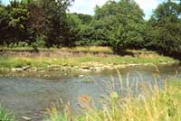 Prairie creek at Midewin NTP